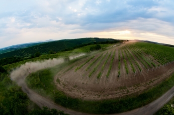 Agrotec Petronas Rally Hustopeče 2013 (Josef Petrů)
